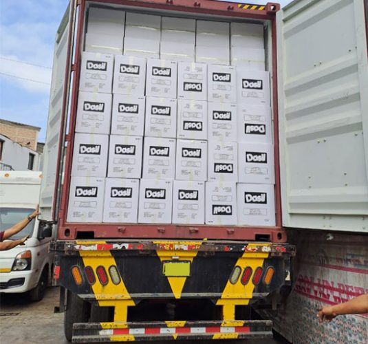 camioncito1